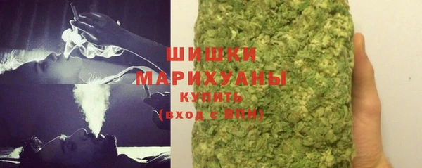 apvp Богородск