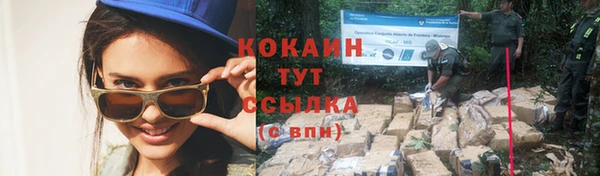 экстази Богданович
