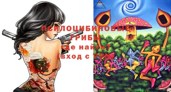 MDMA Богородицк