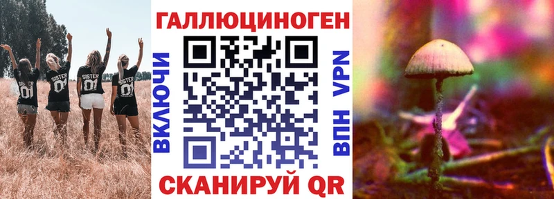 кракен маркетплейс  Гатчина  Псилоцибиновые грибы Psilocybine cubensis  закладки 