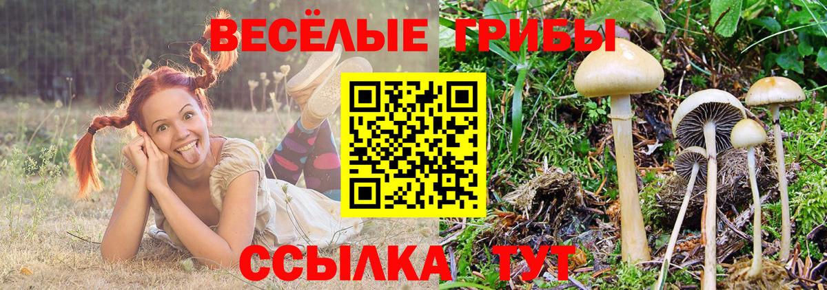 Галлюциногенные грибы ЛСД Гатчина