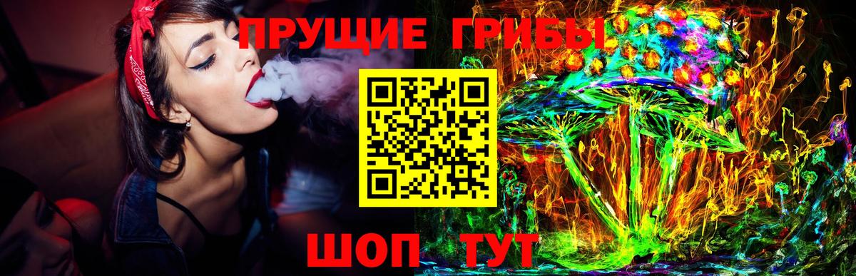 Гатчина  Псилоцибиновые грибы GOLDEN TEACHER  Псилоцибиновые грибы прущие грибы  Вход с VPN 